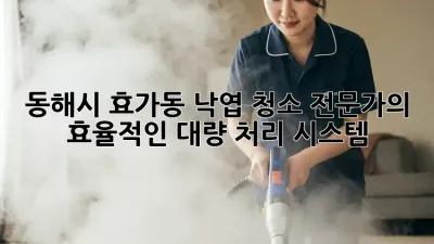 동해시 효가동 낙엽 청소: 전문가의 효율적인 대량 처리 시스템
